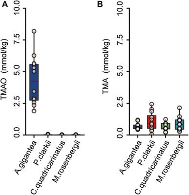 Morphological and molecular evolution of hadal amphipod’s eggs provides insights into embryogenesis under high hydrostatic pressure